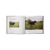 King Ranch - A Legacy In Art By Noe Perez