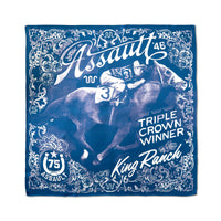 ASSAULT 75th Anniversary Scarf