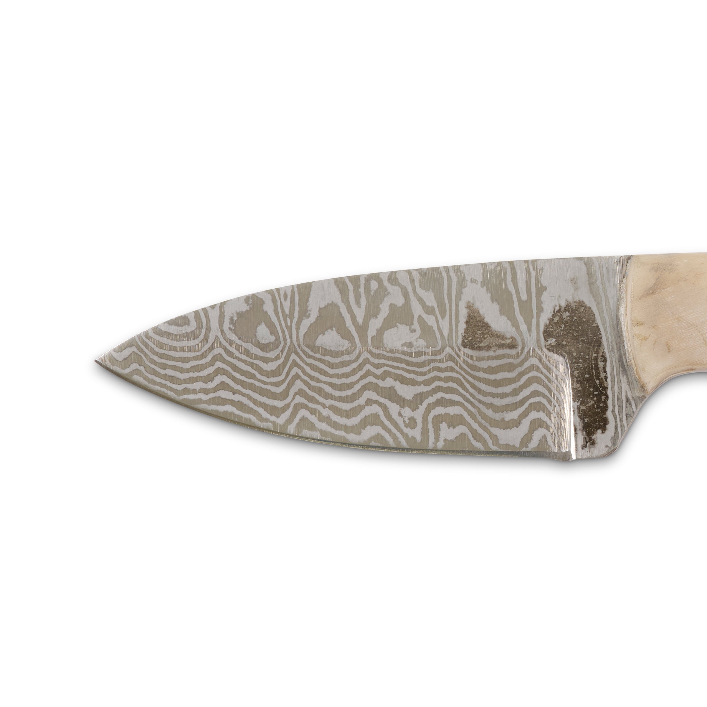 Damascus Skinner Ram Horn Fixed Blade