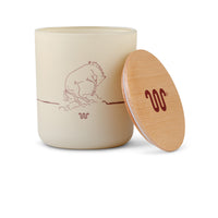 King Ranch Driftwood Candle