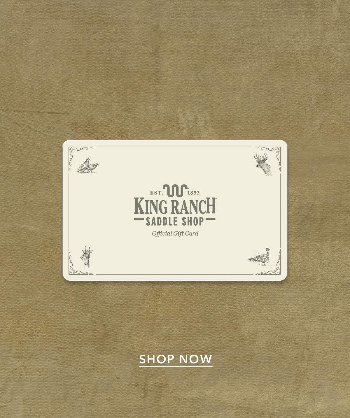 Gift Card Promo