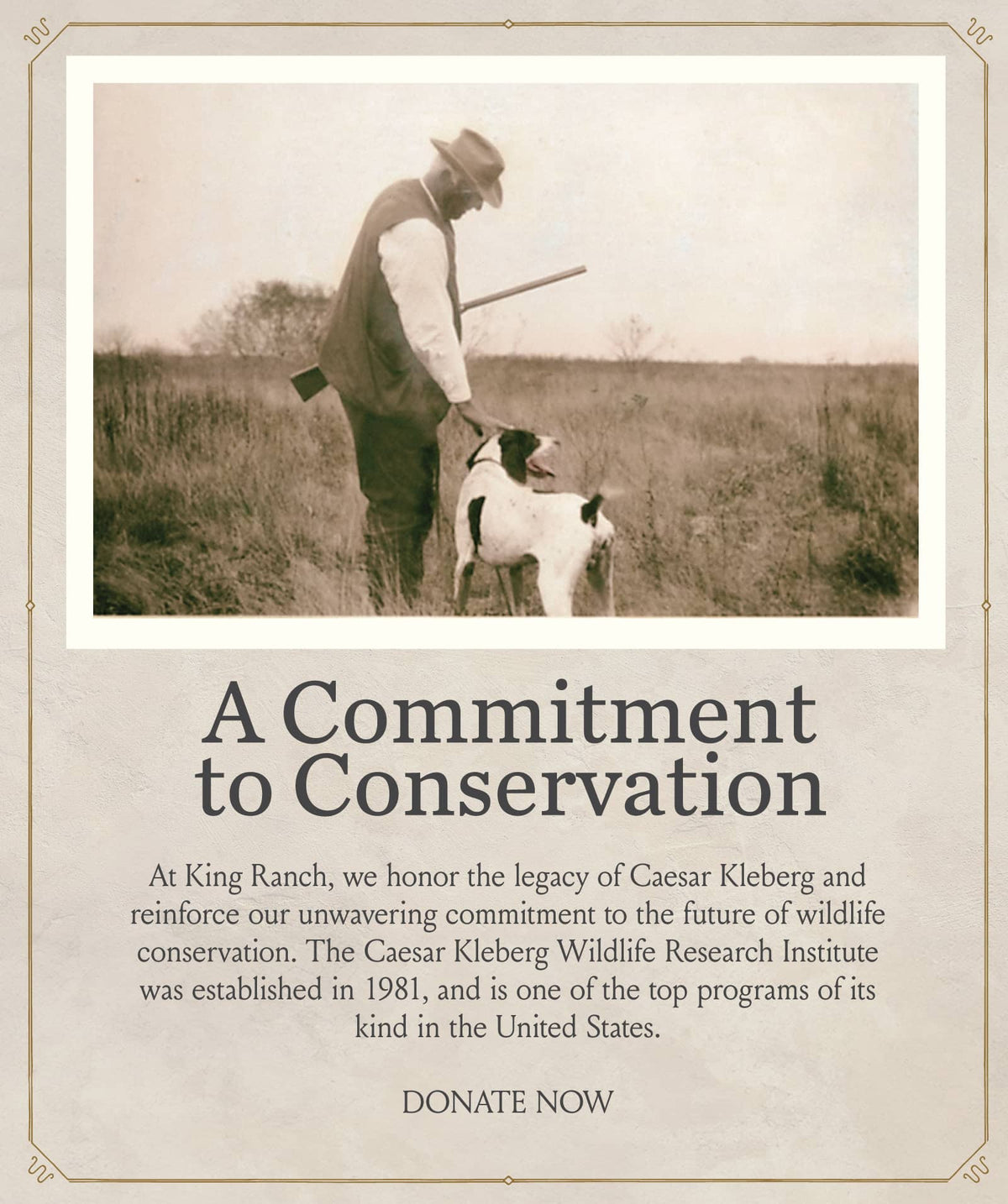 Giving Tuesday 2024