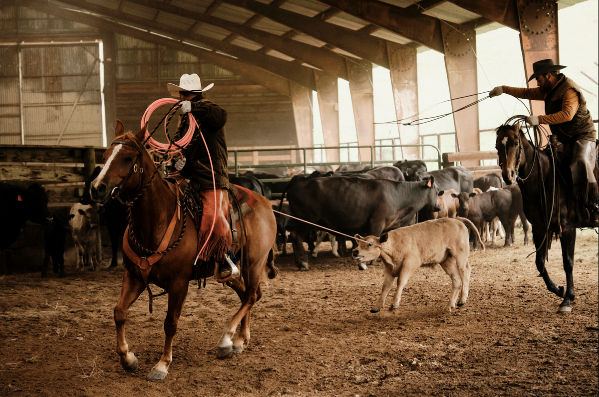 History King Ranch Saddle Shop
