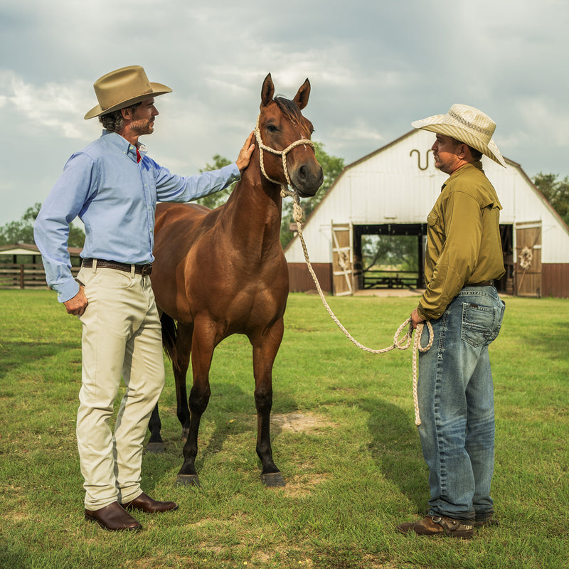 Main House Oxford Shirt | lifestyle