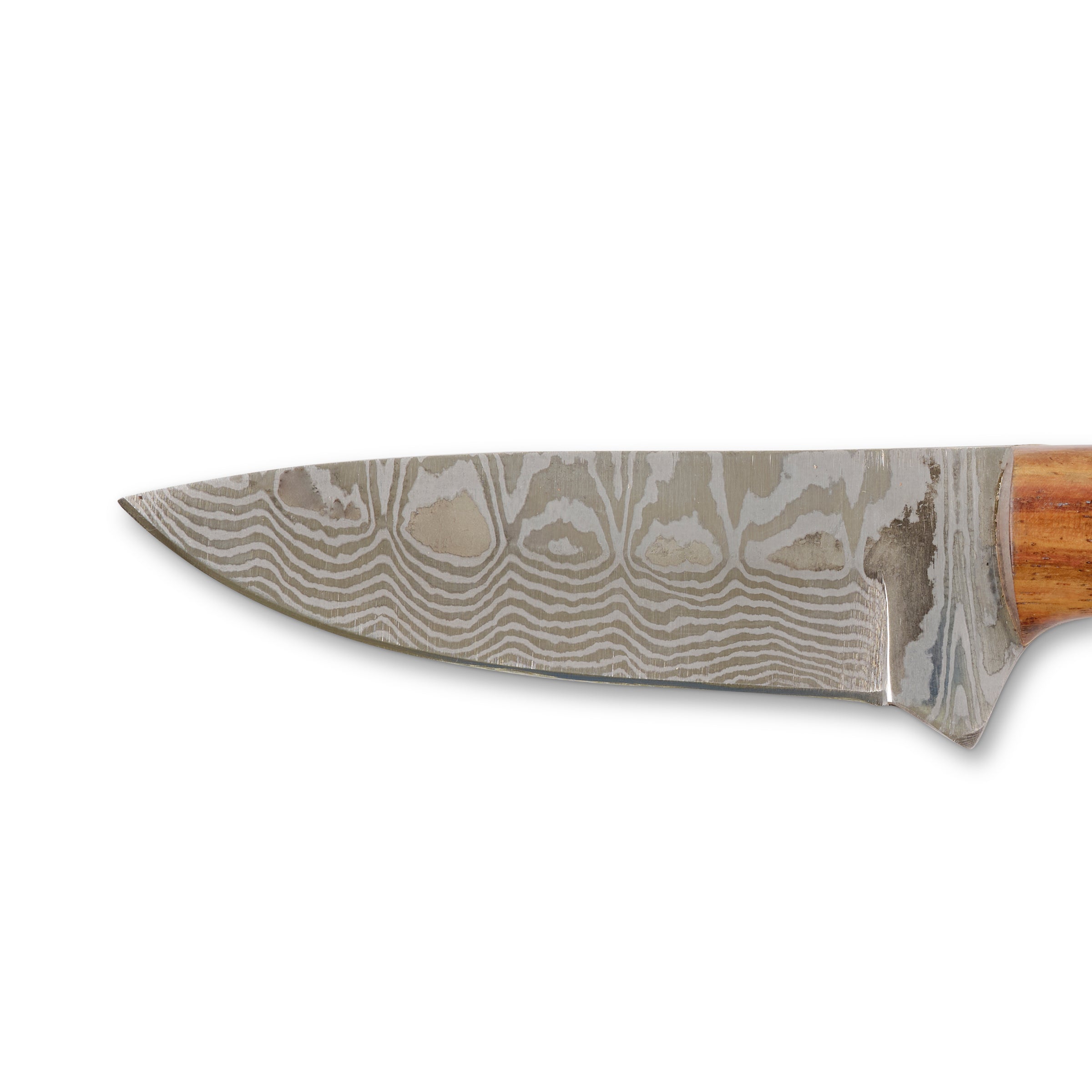 King Ranch Mesquite Damascus Hunter Fixed Blade