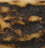 225795 Natutal Color Swatch