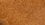 Chestnut
