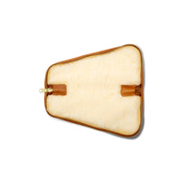 Pistol Case Large