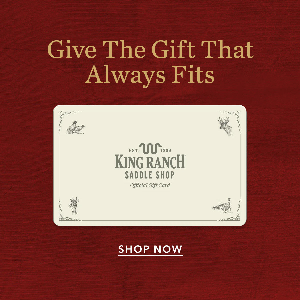 Ranch Furniture & Home Decor, Chairs, Glasses, Throws, Books – King ...