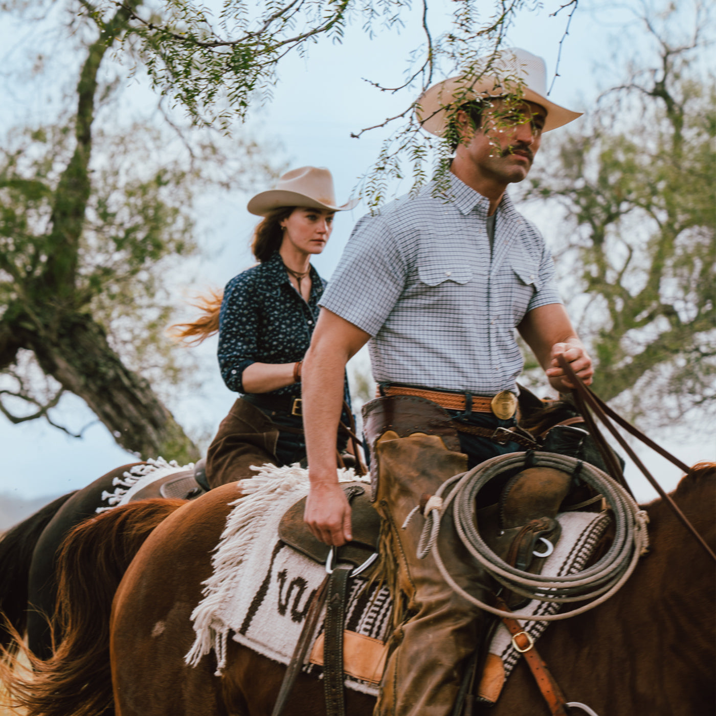 Photo of New Arrivals