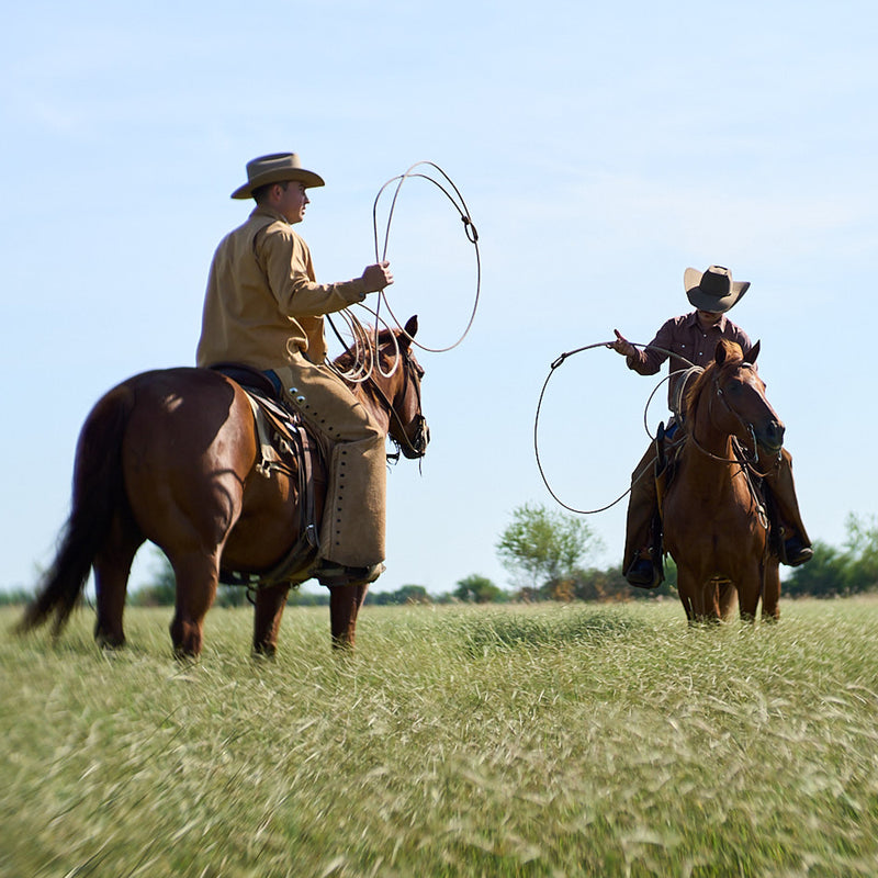 Photo of Ready For The Rodeo