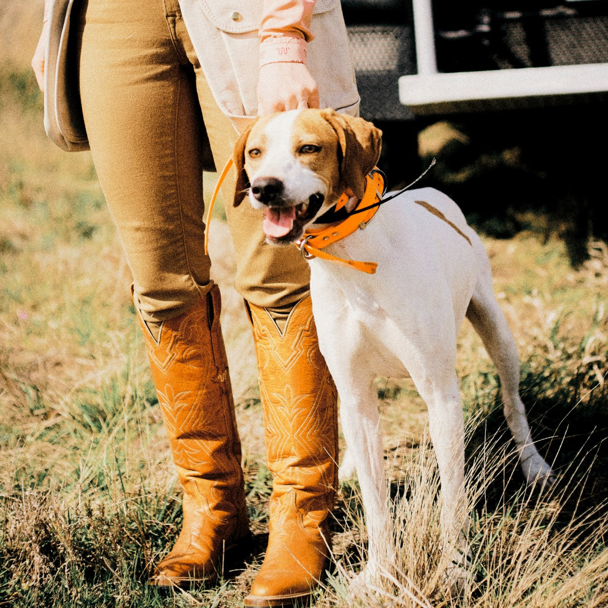 High Top Cowgirl Snake Boots for Women Brown Old English Leather