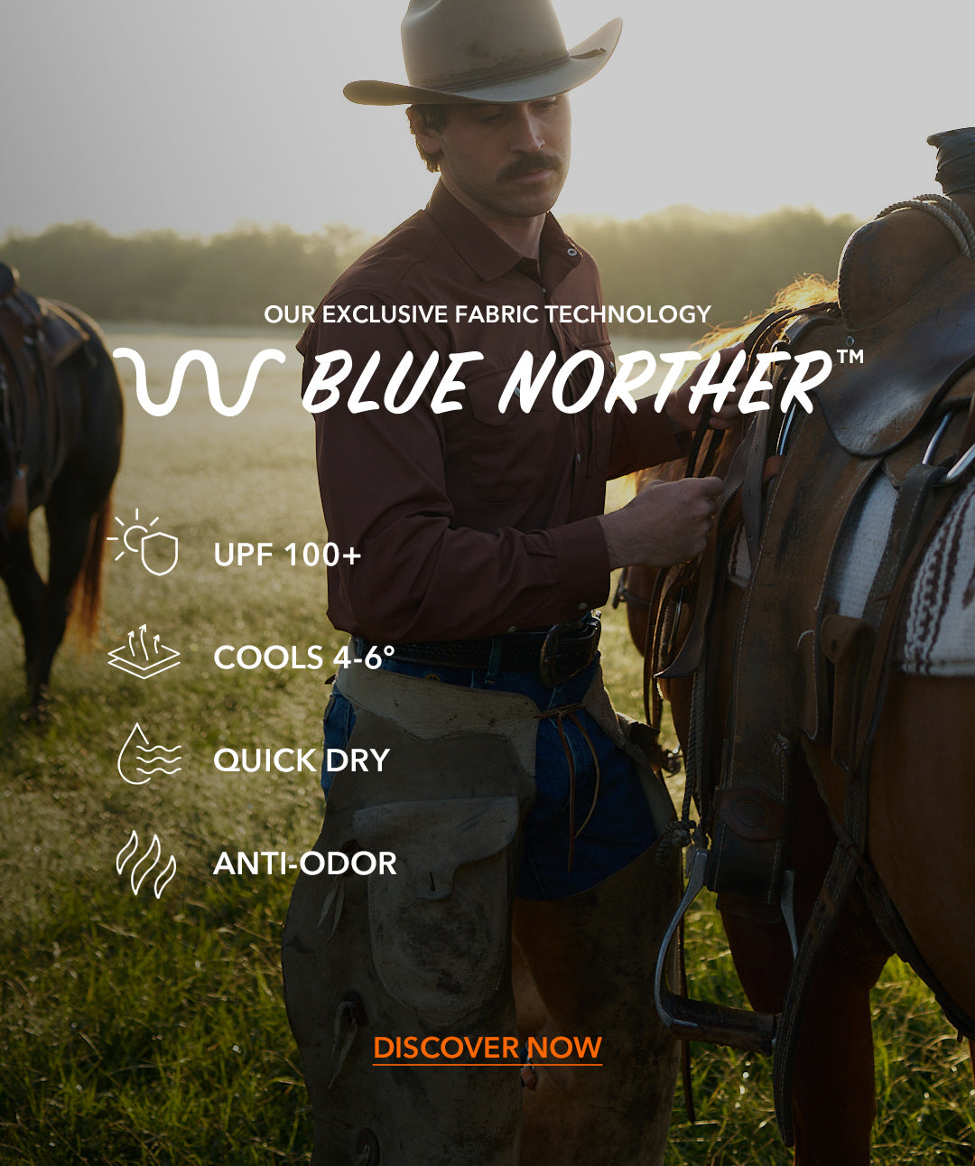 Blue Norther &#8482; Promo